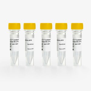 HCY™ HotStart Taqman qPCR Master Mix(2×, No Rox)
