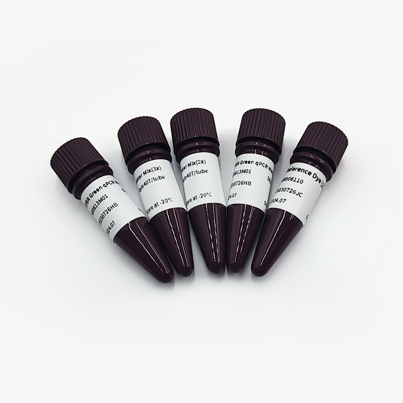 SYBR Green qPCR Master Mix预混液聚合酶