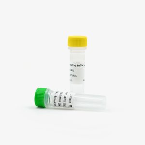 HCY™ HS-Taq DNA Polymerase Kit