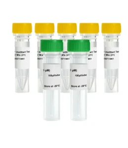 温度对DNA聚合酶的影响：热稳定性与适温范围探究