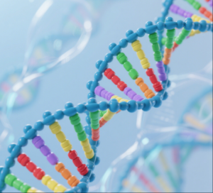 聚合酶链式反应原理及步骤：从变性到延伸，一文看...