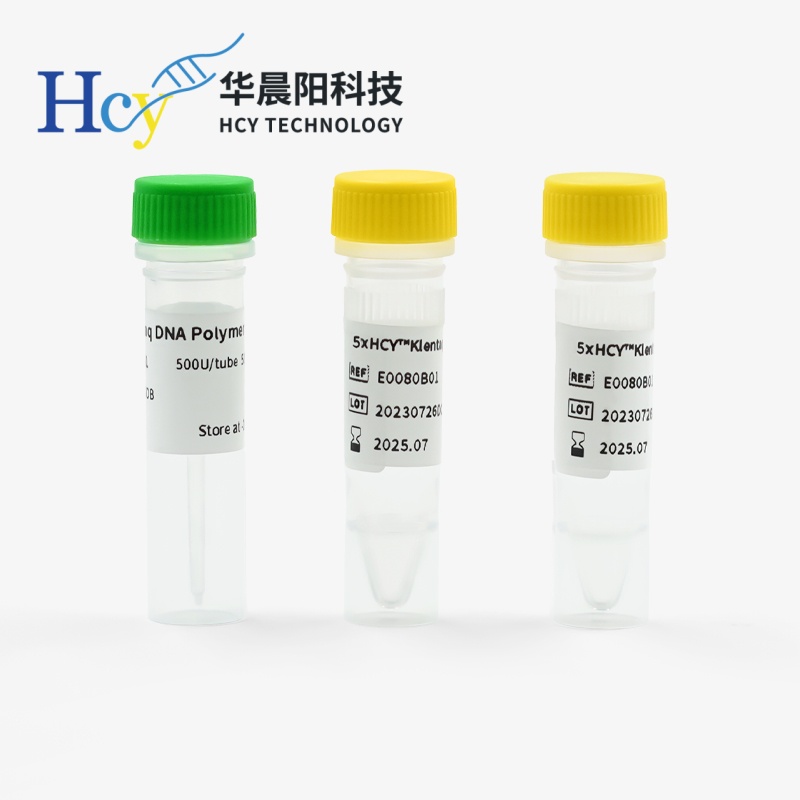 PCR该如何选择合适的DNA聚合酶？从指标到场景的精准指南