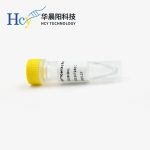 温度对DNA聚合酶活性影响的分子层面解读