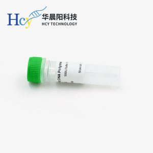 HCY™ BloodDirect PCR Kit聚合酶