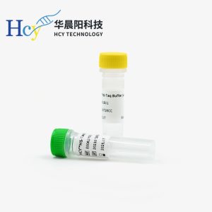 DNA聚合酶活性测定方法大揭秘：原理、步骤与注意事项