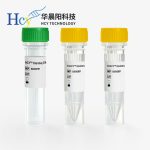 全球PCR酶行业动态：新兴企业的挑战与机遇