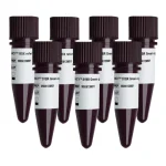 5大DNA聚合酶性能指标你必须知道