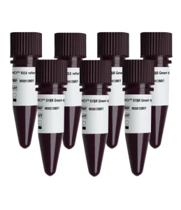 5大DNA聚合酶性能指标你必须知道